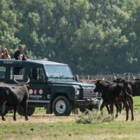 Half-day Tours