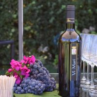 Wine Tasting & Winery Tours