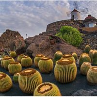 Private & Custom Tours