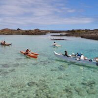 Kayaking & Canoeing