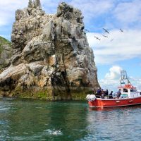 Cruises, Sailing & Water Tours