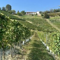 Sustainable Tours