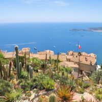Tours & Sightseeing