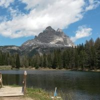 Bus & Minivan Tours
