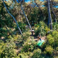 Obstacle Courses