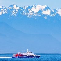 Ferry Services