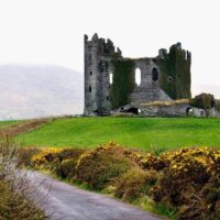 Shore Excursions