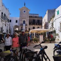 Tours & Sightseeing