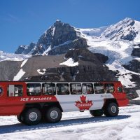 Day Trips & Excursions