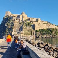 Shore Excursions