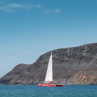 Half-day Tours