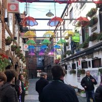 Cultural Tours
