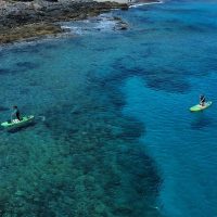 Stand Up Paddleboarding