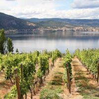 Private & Custom Tours