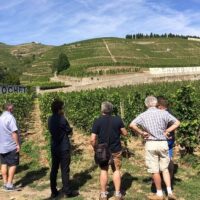 Ports of Call Tours