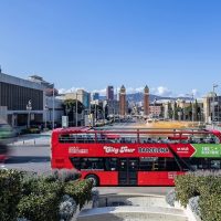 Hop-on Hop-off Tours