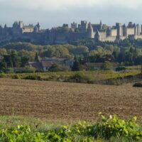Holiday & Seasonal Tours