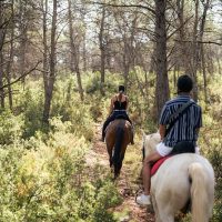 Horseback Riding