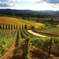 Full-day Tours