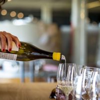Wine Tasting & Winery Tours