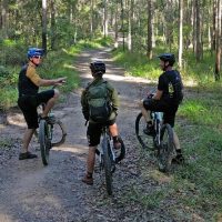 Walking & Biking Tours