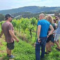 Private & Custom Tours