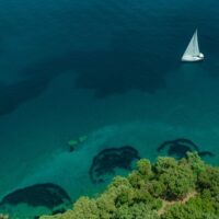Day Cruises