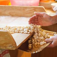 Cooking Classes