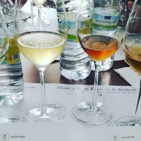 Food, Wine & Nightlife