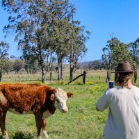 4WD, ATV & Off-Road Tours