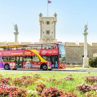 Bus & Minivan Tours
