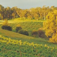Holiday & Seasonal Tours