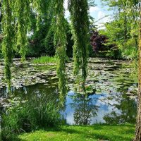 Plantation Tours