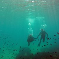 Scuba Diving