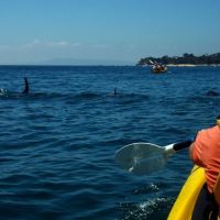 Kayaking & Canoeing