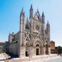 Private Sightseeing Tours