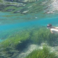 Snorkeling