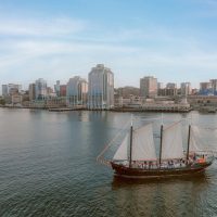 Tours & Sightseeing