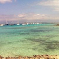 Port Transfers