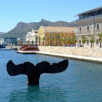 Private & Custom Tours