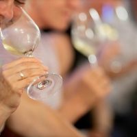 Wine Tasting & Winery Tours