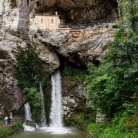 Bus & Minivan Tours