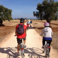 Audio Guided Tours