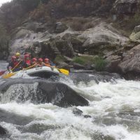 Adrenaline & Extreme