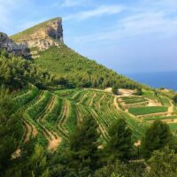 Holiday & Seasonal Tours