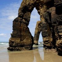 Bus & Minivan Tours