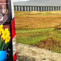 Bus & Minivan Tours