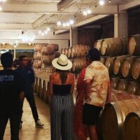 Wine Tasting & Winery Tours