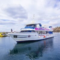Luxury Tours