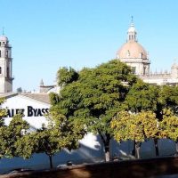 Holiday & Seasonal Tours